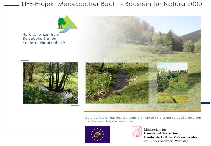 Auf das Bild klicken und weiter geht�s